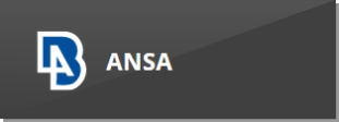 ANSA block
